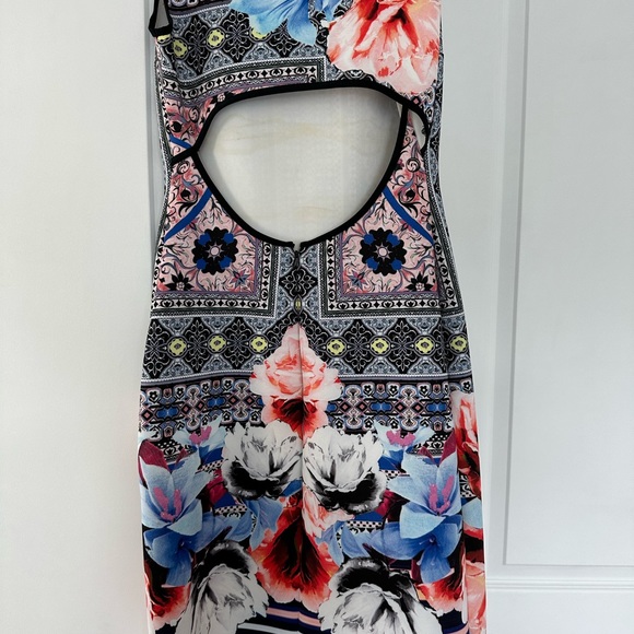 Clover Canyon Dress - Picture 9 of 11